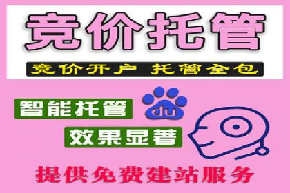 SEM运营公司案例分享：品牌知名度提升